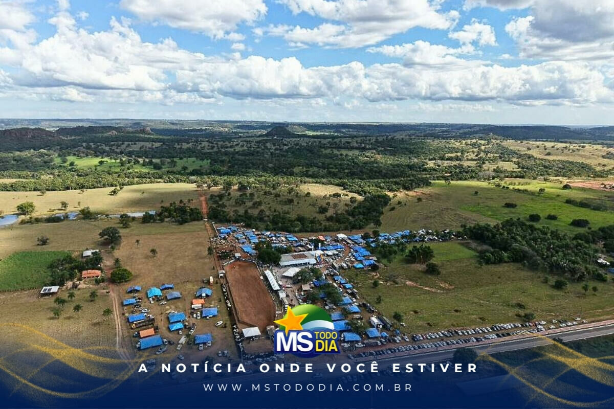Imagem da Galeria